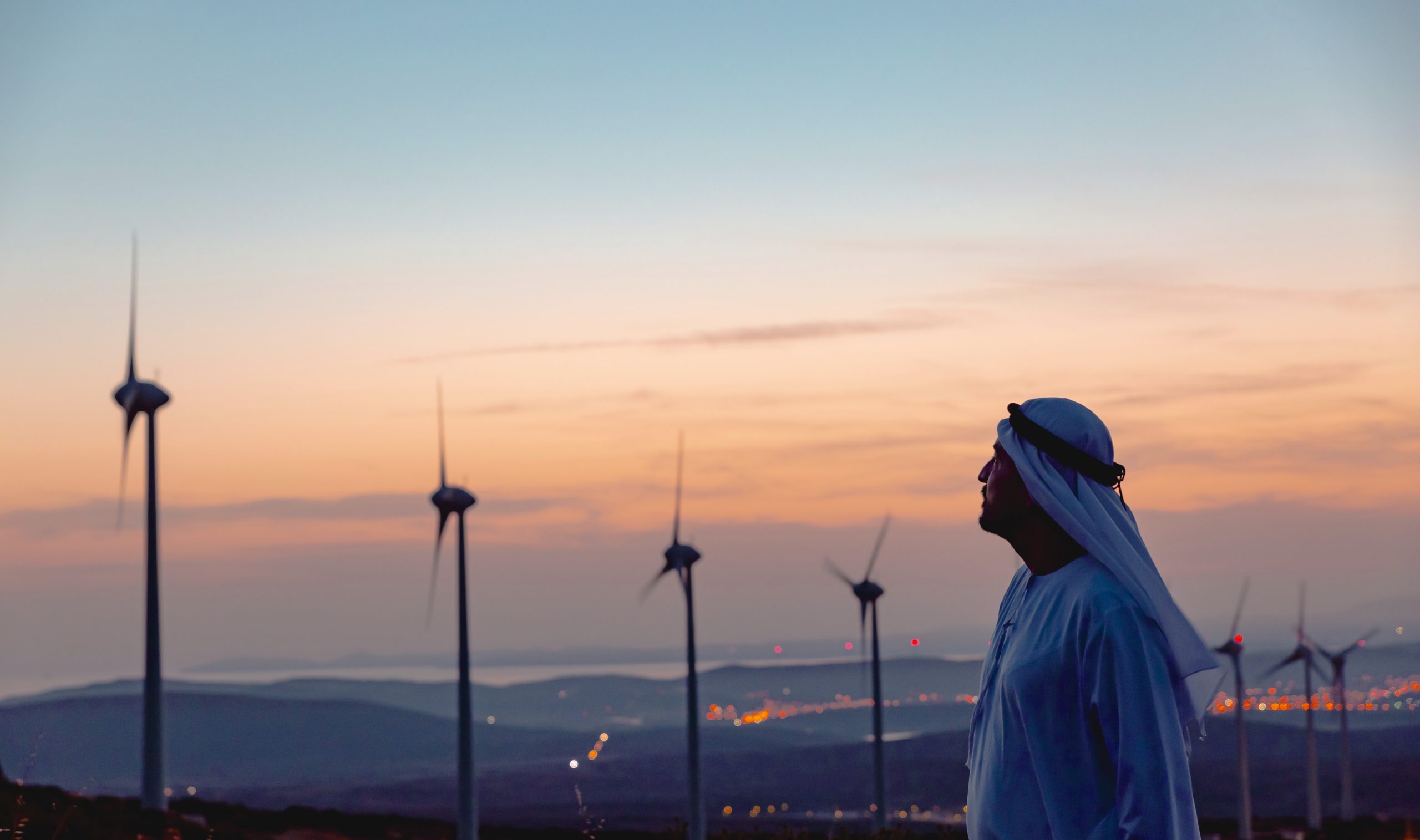 Portrait of Confident Arab businessman in Wind Turbine.